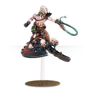 Warhammer 40k - Dark Eldar Beastmaster