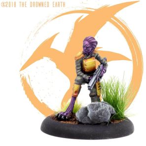 The Drowned Earth: Lliana Wandering Wayfarer