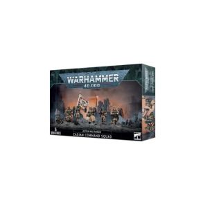 Cadian command squad (old)